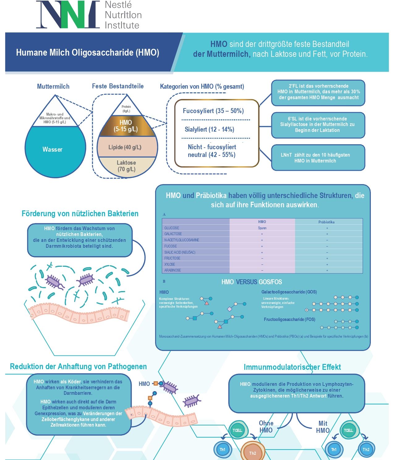 HMO-Infografik-2020_p (infographics)