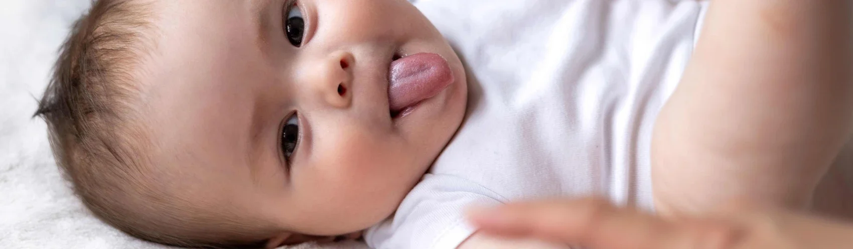 29.04.2026 - Zungenbändchen Fakten und Mythen