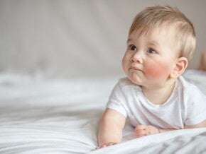 Allergieprävention – Mikrobiom, Ernährung, Allergenkontakt als wichtige Einflussgrößen Nicht gelistet