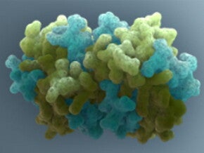 Mehrstufige Sicherheitsstudien zu einem Anti-Fel d 1-IgY-Inhaltsstoff im Katzenfutter