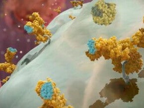 Ein neuartiger Ansatz zur Verringerung des Katzenallergens Fel d 1 durch Integration eines Eiprodukt-Inhaltsstoff in das Katz