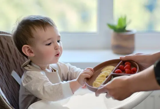 Prägung einer nachhaltigen Ernährungs-und Esskultur