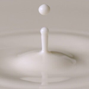 Live-Webcast “Human Milk: Composition, Clinical Benefits and Future Opportunities”, Lausanne 2017 (news)