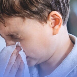 Allergien und Humane Milch-Oligosaccharide