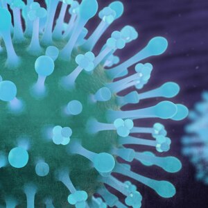 Corona virus 2 (news)