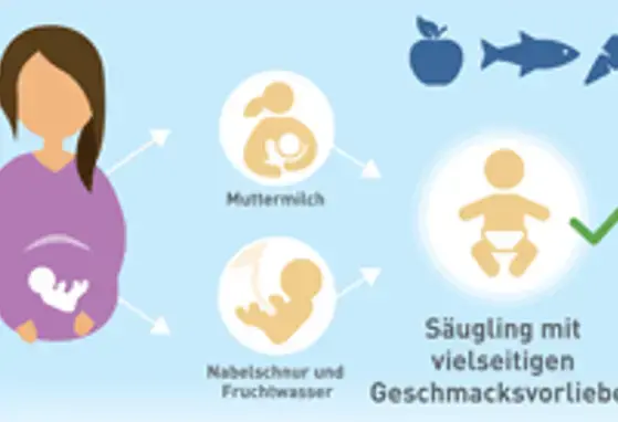 Einfluss auf die Geschmackswahrnehmung_Landscape (infographics)