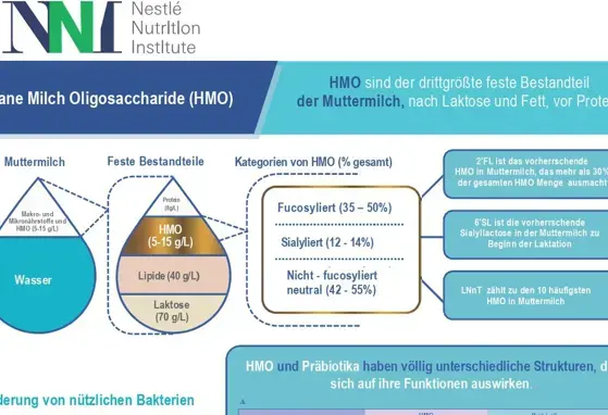 HMO-Infografik-2020 (infographics)