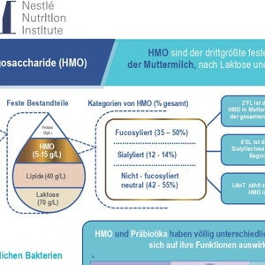 HMO-Infografik-2020 (infographics)