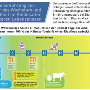 Die richtige Einführung von Beikost für das Wachstum und die Gesundheit im Kindesalter und in späteren Lebensphasen (infographics)