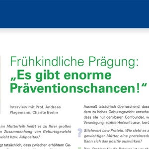 Experten-Statement: Prof. Dr. Andreas Plagemann, 2013 (publications)