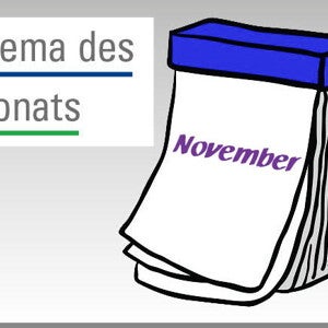 nni-thema-des-monats-11 (news)