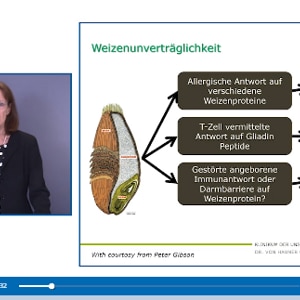 screenshot-video-koletzko (videos)