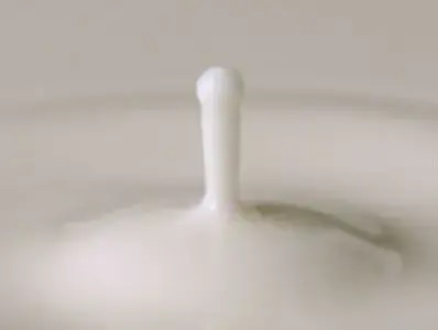 Live-Webcast “Human Milk: Composition, Clinical Benefits and Future Opportunities”, Lausanne 2017Live-Webcast “Human Milk: Composition, Clinical Benefits and Future Opportunities”, Lausanne 2017 (news)